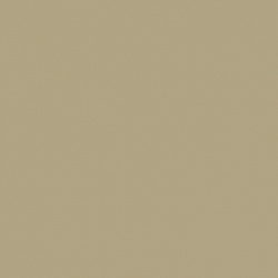 sl-091 золотая шампань