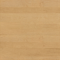 w-097 maple birdseye